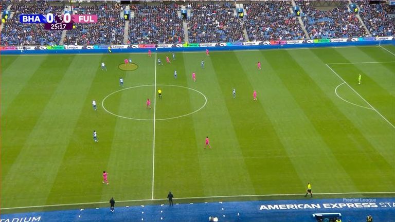 Igor (circled) began the move leading to Brighton's goal